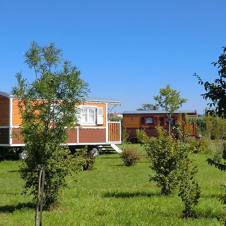 Livron-sur-Drôme Les Roulottes-Gites De La Ferme De L'Autruche Dromoise المظهر الخارجي الصورة